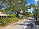 Scenic street view with mature trees, bike lanes, and vibrant businesses in a pedestrian-friendly area at 946 Highland Ave # 24, Dunedin, FL 34698