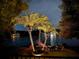 The backyard at twilight, illuminated palm trees highlight the waterfront view and fire pit area at 9818 Tree Tops Lake Rd, Tampa, FL 33626