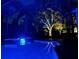 Striking nighttime view of the lit pool and spa, highlighting the landscaping and screened enclosure at 9818 Tree Tops Lake Rd, Tampa, FL 33626