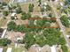 An aerial view of the property surrounded by mature trees in a residential neighborhood at 12009 Glenshire Dr, Riverview, FL 33579