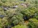 Overhead aerial view of a home, the surrounding lush trees and foliage, and the tranquil water feature at 1296 Weybridge Ln, Dunedin, FL 34698