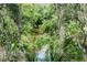 Scenic backyard with lush greenery and tranquil water features at 1296 Weybridge Ln, Dunedin, FL 34698