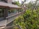Side view of home, surrounded by lush vegetation and deck access, offering a natural aesthetic at 1296 Weybridge Ln, Dunedin, FL 34698