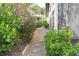 Stone path through lush backyard landscaping with mature trees and tropical foliage at 13511 Avista Dr, Tampa, FL 33624