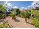 Cozy home backyard featuring tropical landscaping and flower pots perfect for relaxing and enjoying the weather at 13511 Avista Dr, Tampa, FL 33624