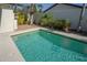 Refreshing in-ground pool area with lush landscaping offers a private retreat at 13511 Avista Dr, Tampa, FL 33624