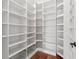 Walk-in pantry with ample storage and adjustable shelves at 17129 Breeders Cup Dr, Odessa, FL 33556