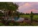 Tranquil backyard pool with a fire pit and stone accents, surrounded by lush landscaping at 17129 Breeders Cup Dr, Odessa, FL 33556