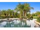 Serene backyard oasis featuring a luxurious pool, lush palm trees, and meticulously designed landscaping at 17129 Breeders Cup Dr, Odessa, FL 33556