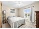 Cozy bedroom featuring a ceiling fan, a window offering outdoor views, and a plush rug at 2597 Countryside Blvd # 206, Clearwater, FL 33761