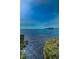 Expansive waterfront view from the shoreline with lush greenery and calm water, showcasing natural beauty at 300 S Florida Ave # 200J, Tarpon Springs, FL 34689