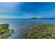 Relaxing waterfront view from the shoreline showcasing the calm water and natural beauty at 300 S Florida Ave # 200J, Tarpon Springs, FL 34689