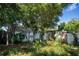 Backyard showcasing overgrown grass and shrubbery with a dilapidated shed at 3212 56Th N Ave, St Petersburg, FL 33714