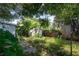 Backyard featuring overgrown grass and shrubbery with a dilapidated shed at 3212 56Th N Ave, St Petersburg, FL 33714