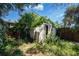 Dilapidated shed with overgrown weeds and plants at 3212 56Th N Ave, St Petersburg, FL 33714
