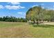 Expansive backyard with a scenic pond view, mature trees, and green grass, perfect for outdoor activities at 3333 Michener Pl, Plant City, FL 33566