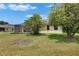 Well-maintained backyard featuring lush green grass, mature trees, and partial view of the screened lanai at 3333 Michener Pl, Plant City, FL 33566