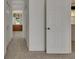 Hallway features white door, neutral carpet and a view of vanity and mirror with oak cabinets at 3333 Michener Pl, Plant City, FL 33566