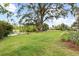 Picturesque backyard with mature trees, lush greenery, and serene pond views at 4009 Carrollwood Village Dr, Tampa, FL 33618