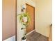 Charming condo front door with a decorative plant adding a touch of nature and curb appeal at 4215 East Bay Dr # 1103D, Clearwater, FL 33764