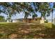 Exterior view of home backyard, featuring mature trees, the building, and healthy green grass at 5033 Tammy Ln, Holiday, FL 34690