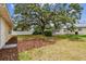 A serene backyard with a mature tree, well maintained lawn, and a privacy fence at 5033 Tammy Ln, Holiday, FL 34690