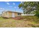 Exterior view of home backyard, showing the building, grass, mulch, trees, and white fence at 5033 Tammy Ln, Holiday, FL 34690