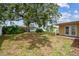 Exterior view of home backyard, featuring mature trees, covered patio, the building, and healthy green grass at 5033 Tammy Ln, Holiday, FL 34690