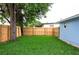 A grassy backyard with a wood fence and shade from a large tree at 1114 Michigan N Dr, Dunedin, FL 34698
