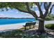Relaxing bench overlooking the lake and beach, framed by a mature tree providing plenty of shade at 3304 Latania Dr, Tampa, FL 33618