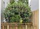 Landscaped backyard with a privacy fence and mature flowering shrubs at 3619 W Leona St, Tampa, FL 33629