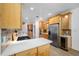 The updated kitchen features stainless steel appliances, quartz countertop, and a gas range at 401 Whitcomb Blvd, Tarpon Springs, FL 34689