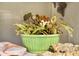 Indoor decor featuring a begonia plant in a decorative green container with stone accents at 5112 Lanai Way, Tampa, FL 33624