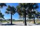 Scenic view of a park with tall palm trees and a walking trail under a clear blue sky at 5112 Lanai Way, Tampa, FL 33624