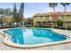 View of the condominium complex pool, framed by mature trees and well-maintained landscaping at 7606 Woodbridge Blvd, Tampa, FL 33615
