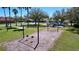 Neighborhood playground area featuring swings, climbing structures, and slides, ideal for outdoor recreation at 9220 Dayflower Dr, Tampa, FL 33647