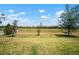 Spacious backyard with lush green grass, mature trees, and a partial view of the fence at 923 Whimbrel Run, Bradenton, FL 34212