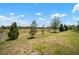 Expansive backyard featuring manicured lawn and scattered trees, perfect for outdoor enjoyment at 923 Whimbrel Run, Bradenton, FL 34212