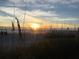 Tranquil beach scene with a vibrant sunset viewed through the tall grass at 10355 Paradise Blvd # 412, Treasure Island, FL 33706