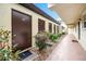 Exterior hallway of condo building with doors, landscaping, and overhead lighting at 1100 E Bay Dr # 60, Largo, FL 33770