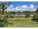 Serene lake view with lush vegetation, perfect for nature lovers at 11320 Lazy Hickory Ln, Tampa, FL 33635