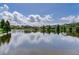 View of the neighborhood pond with cloud reflections in the water at 11320 Lazy Hickory Ln, Tampa, FL 33635