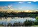 Scenic view of a serene pond reflecting the sunset and surrounding trees at 11320 Lazy Hickory Ln, Tampa, FL 33635