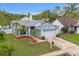 Eye-level shot of a single-story home featuring a well-maintained lawn, mature palm trees, and a two-car garage at 11619 Fox Creek Dr, Tampa, FL 33635