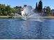 View of the community lake with a decorative spraying fountain in the center with homes along the shoreline at 11619 Fox Creek Dr, Tampa, FL 33635