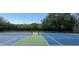 Community tennis courts surrounded by trees, nets, and a black fence under a bright, clear blue sky at 11619 Fox Creek Dr, Tampa, FL 33635