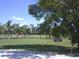 Spacious green property lot featuring mature trees and sunny skies at 11951 Wichers Ln, San Antonio, FL 33576