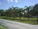 Street view showcasing mature palm trees, a street sign, and the home at 11951 Wichers Ln, San Antonio, FL 33576