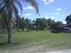 Picturesque street view with swaying palm trees and a glimpse of the home's peaceful neighborhood at 11951 Wichers Ln, San Antonio, FL 33576