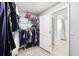 Walk-in closet with shelving and rod system for organized storage, and carpet flooring at 15507 Caynor Ash Ln, Sun City Center, FL 33573